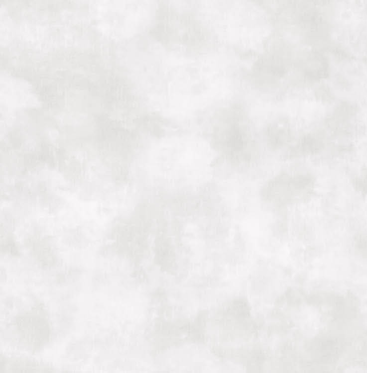 Обои Sirpi арт 1VH 20731 фото 1