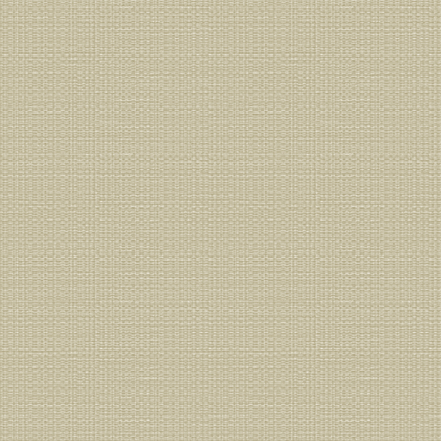 Обои Sirpi арт 1VP 24921 фото 1