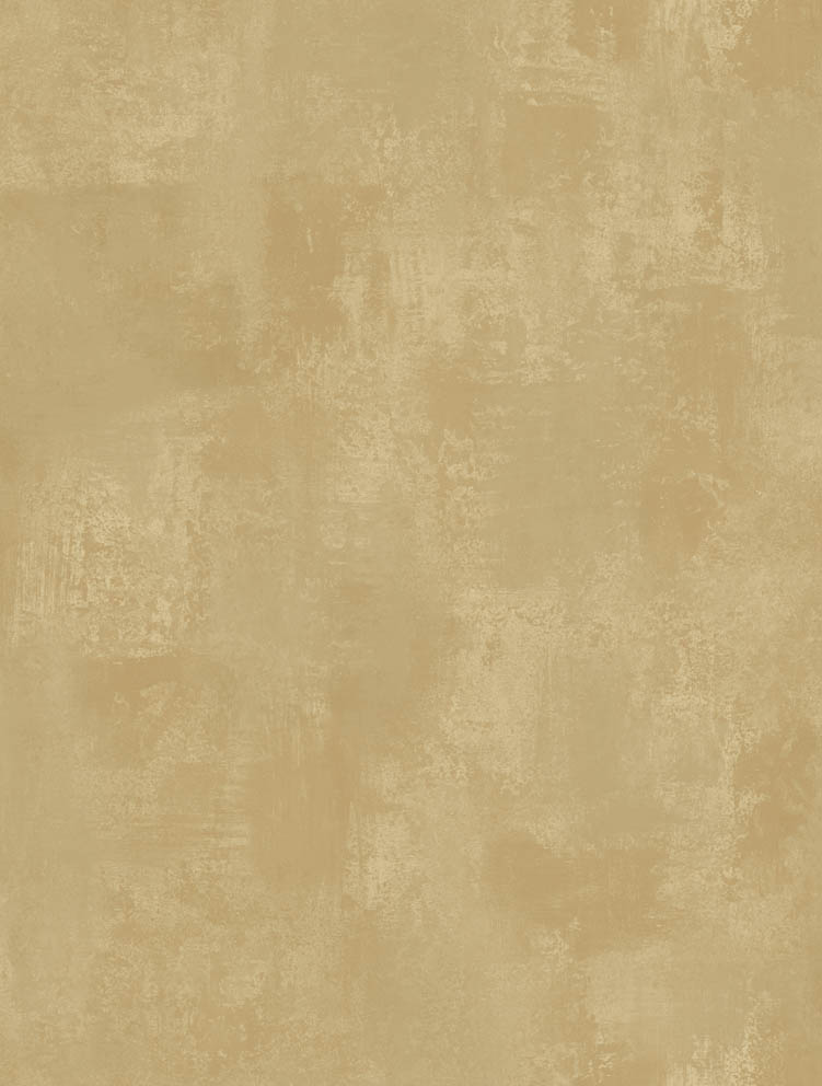 Обои Sirpi арт 1VE 14513 фото 1