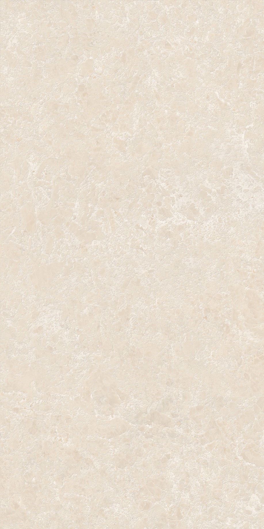 Керамогранит Global Tile арт Ракушка, бежевый граниль, 1200х600 фото 1