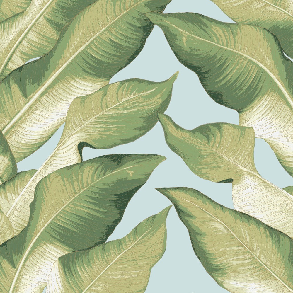 Обои York арт NV5542 фото 1